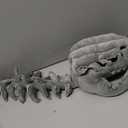 Dinosaur Skeleton Headgear Pillow, Dinosaur Skeleton Costume, Realistic Dinosaur Skeletons Set with Spine Extension for Halloween, and Themed Parties (30IN)