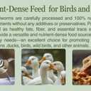 kimoe Non-GMO Bulk Dried Mealworms 10LB Bag for Chickens, Ducks & Wild Birds  100% Natural High-Protein Feed to Boost Egg Production, Feather Health & Immunity