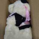 Graduation Teddy Bear Plush with Cap and Diploma, 8 inch (Pink), Medium