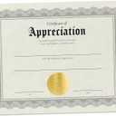 Hill Valley Greetings Certificate of Appreciation - 30 Fill in Award Certificates with Gold Foil Embossed Seals