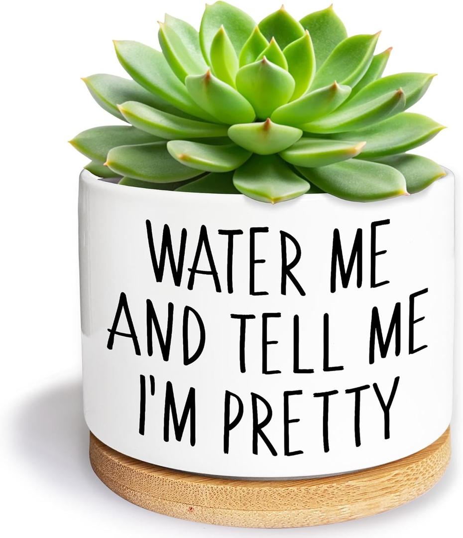 Water Me and Tell Me I'm Pretty - Cute Ceramic Planter Pot with Drainage Hole, Home Office Funny Small Succulent Cactus Pot for Women, Friends, Coworker, Plant Lovers