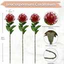Hollyone 3Pcs Red Artificial Flowers Mums Fall Spider Mum Flower Silk 28.3'' Long Stem Fake Chrysanthemum Flowers Leucospermum Cordifolium Arrangement Faux Pincushion Flowers Bouquet Home Decor