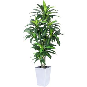 Artificial Dracaena Plant 6ft with White Tall Planter, Potted Artificial Dracaena Silk Plant, Fake Yucca Tree Plant, Home Office Floor Room Decor Plants Indoor Outdoor, Housewarming Gift