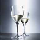 Schott Zwiesel Tritan Crystal Glass Mondial Stemware Collection All Purpose White Wine Glass, 8.4-Ounce, Set of 6