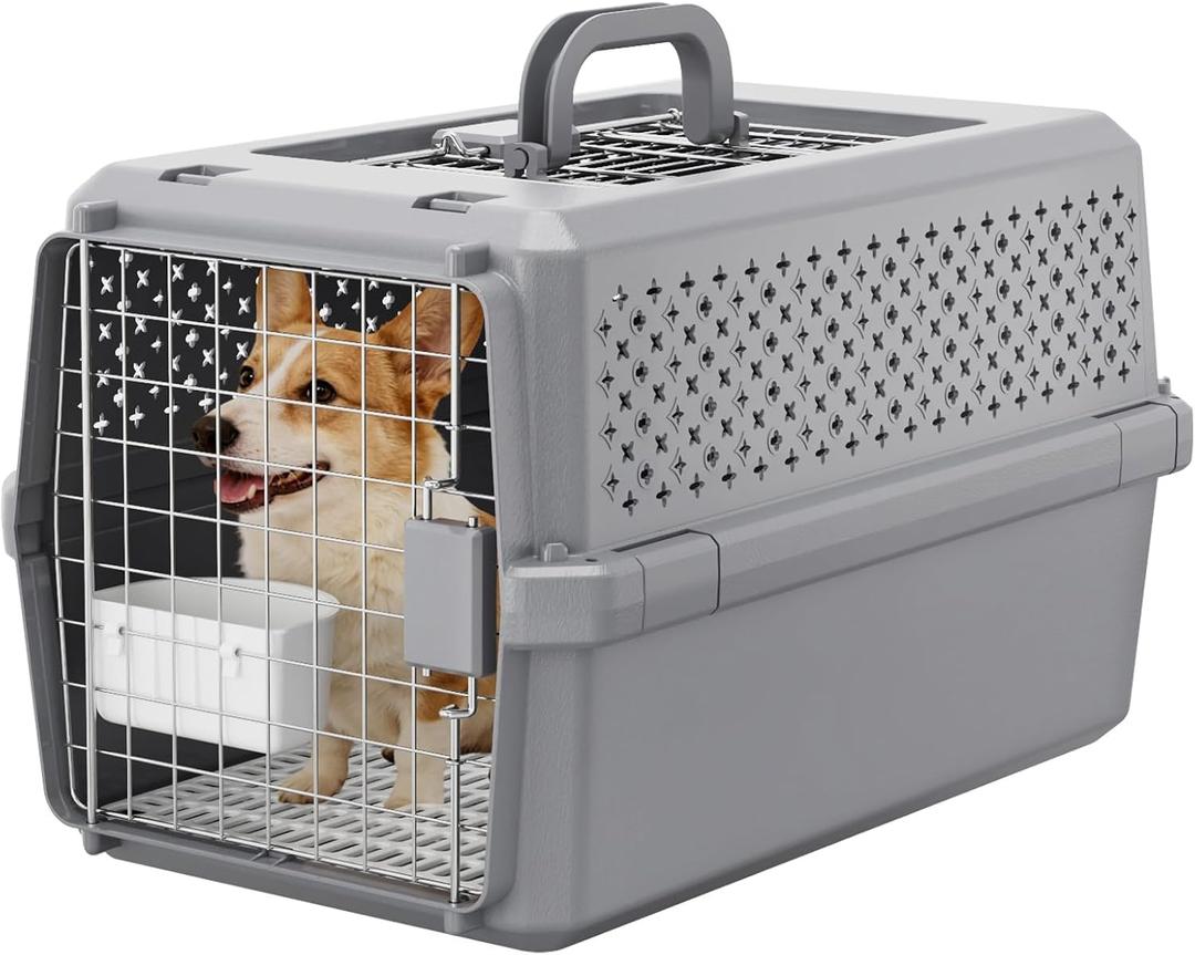 Hard-Sided Dog Carrier: Portable Travel Crate for Medium Pets
Secure Metal Locking Door / 360° Ventilation Panels / Spacious for Medium Pets / Top Carry Handle / Lightweight Durable Shell