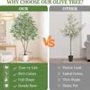 Large Olive Trees Artificial Indoor 7FT, Upgraded Faux Olive Tree with Realistic Leaves and Fruits, Heavy Base, Modern Fake Faux Plants for Home/Office Decor Gifts