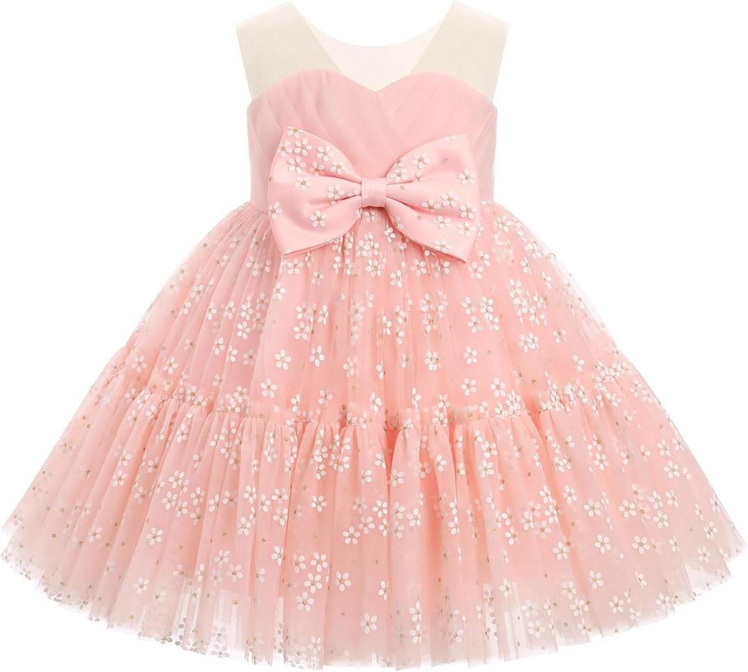 Baby Girl Daisy Strawberry Confetti Birthday Dress Pageant Tea Party Easter Outfits Toddler Princess Fancy Ball Gown (Pink)
