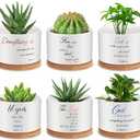 Mifoci 6 Pcs Bible Verse Succulent Pot Christian Bible Verse Gifts Set Ceramic Mini Floral Succulent Planters with Bamboo Tray 3 x 3 x 2 Inches Plant Pots Decorative for Garden Birthday