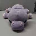 Hug-A-Lumps, Series 2, Large, Plush, (Hippo)