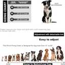 Chain Collar with Buckle Quick Release Adjustable Chrome Stainless Steel Dog Chain with Dog Tag Comfort No Pull Dog Collar(Gold, 24") (24"(for 20"-23.5" Neck))