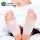 Premium Bamboo Ginger Foot Pads 20 Packs (20)