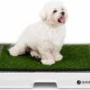 Weasy Indoor Dog Potty Tray with Drain Hose | Reusable Dog Toilet | Potty Training System | Compatible with Weasy Bag