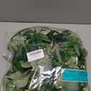 Fake Greenery Garlands Artificial Silver Dollar Eucalyptus Garland in Grey Green and Willow Twigs Garland Intertwined Together for Rustic Wedding Arch Swag Doorways Table Runner Decoration