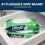 Cottonelle GentlePlus Flushable Wet Wipes with Aloe & Vitamin E, 7 Flip-Top Packs, 42 Wipes Per Pack (BBD: 04/2027)