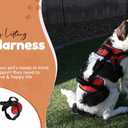 Doggie Stylz Multi-Functional Full-Body Lifting Dog Harness Vest, Designed for Front-Only, Rear-Only or Full-Body Lifting. Please Measure Your Dog Before Ordering. Girth 25-33"