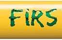 Ticonderoga My First Tri-Write Wood-Cased Pencils, Unsharpened, 2 HB Soft, Without Erasers, Yellow, 36 Count