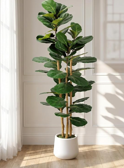 Artificial Fiddle Leaf Fig Tree in Modern White Planter, 5ft | Large Fake Tree with 3 Sturdy Trunks, Fake Plants with Moss, Lifelike Tall Artificial Plants Indoor for Office Home Decor