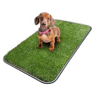 Ottomanson 15 x 30 Multi-Purpose Boot Tray - Waterproof Mat for Shoes, Pet Food, Litter Box, Painting & Planting - 1.2 Raised Edge for Spill Protection (Tray - 15" x 30", A Black)