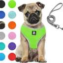 Puppy Harness and Leash Set - Dog Vest Harness for Small Dogs Medium Dogs- Adjustable Reflective Step in Harness for Dogs - Soft Mesh Comfort Fit No Pull No Choke (M, Light Green)