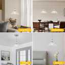 1 Piece Brushed Nickel Chandelier Light Fixtures with Glass Shade, Brushed Nickel Finish Pendant Light,Hanging Light for Dining Room,Hallways,Living Room,Bedroom
