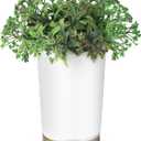 Essential Oil Diffuser, 150 ml Aromatherapy Diffuser, Green Leaf Diffuser for Essential Oils, Oil Diffuser for Bedroom Home Office, Waterless Auto Shut-Off, Super Quiet