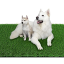 Grass Pad for Dogs 39.3 x 31.5 inches Strong Absorbency Soft Artificial Grass for Pets Potty Training, Easy to Clean Fake Grass for Dog Indoor Outdoor Use(1 Pack)