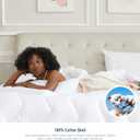 Duvet Insert Cotton Comforter Queen Size White Down Alternative Duvet Insert 100% Cotton Shell Quilted Fluffy Comforter Lightweight All Season 4 Corner Tabs Durable Breathable Noiseless
