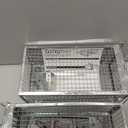 Gingbau 2-Pack Rat Traps Humane Live Chipmunk Mouse Trap Cages for Indoor and Outdoor Use