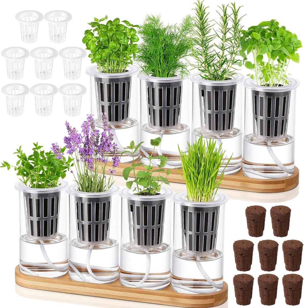 Teenyyou 8 Pcs Hydroponic Herb Planter Growing Kit Self Watering Glass Vase with Wooden Stand Herb Garden Starter Kit for Propagating Hydroponic Plants Centerpiece Office Home Garden Decor