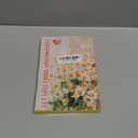 Fancy Land Get Well Cards 24 Pack Floral Get Well Greeting Cards with Envelopes Stickers Friends Family Blank Inside