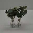 Zheart 2 Pack Small Fake Plants Eucalyptus PottedArtificial Eucalyptus Stems in Glass Vase with Faux Water for Shelf Desk Bathroom Farmhouse Room Office Coffee Table Kitchen Home Decor (Green)