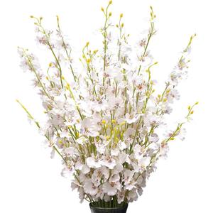 White Silk Flowers in Bulk Wholesale Artificial Orchids, 12 Pcs (Each 38.5), for Wedding Festive Party Home Office Decoration, No Include Vase
