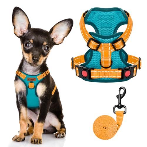 MIDOG No-Pull Dog Harness | Adjustable & Reflective Pet Harness Leash Set for Small Medium Large Dogs Walking, Training| No Choke, Front Clip, Soft Padded Vest with Easy Control Handle - Blue, XS