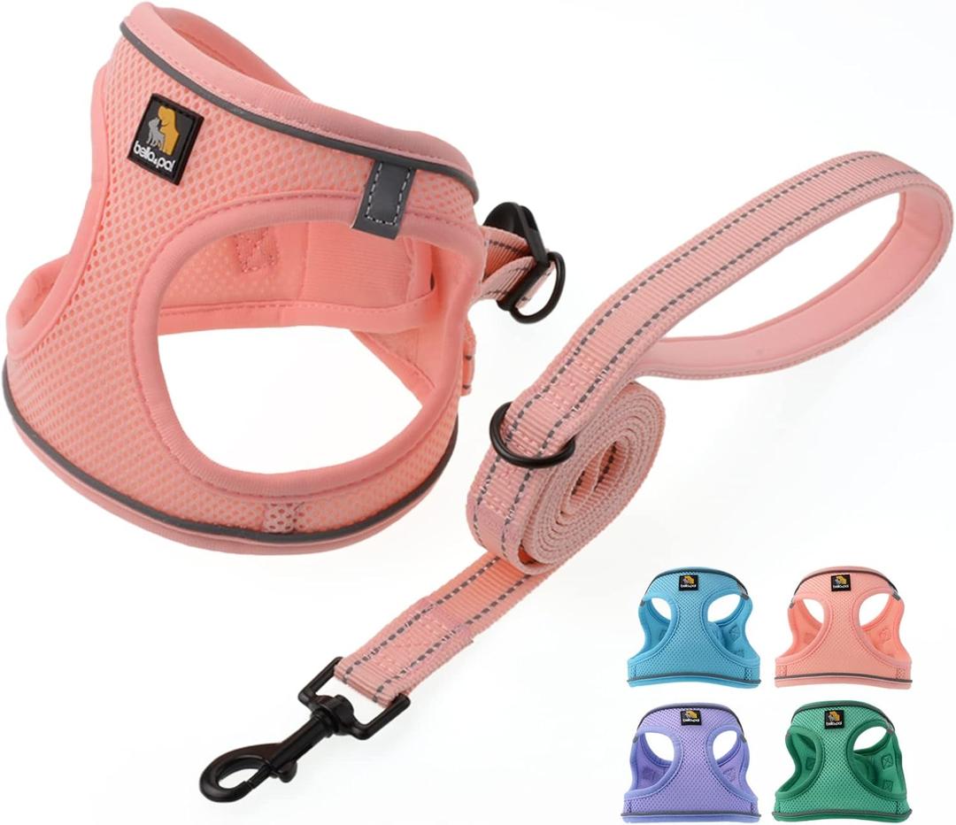BELLA & PAL Dog Harness for Small Dogs, Medium, Coral Pink, Animal Harness with Leash Set, No Pull, Step in Design, Reflective Strip, Lightweight Mesh, Harness for Extra Small Dogs, Size: M