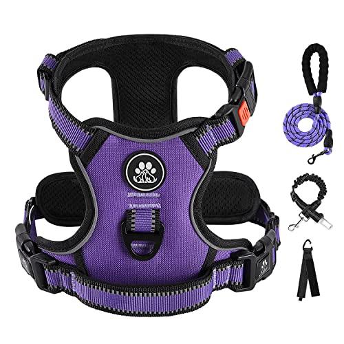 IVY&LANE No Pull Dog Harness for Small Dogs, Dog Vest Harness with Leash, Safety Belt and Storage Strap, Fully Adjustable Harness, 360?Reflective Strip, Soft Handle (Purple, M)