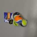 Nerf Dog Tennis Ball Dog Toys with Interactive Squeaker, Lightweight, Durable and Water Resistant, 1.75 Inches, For Small Breeds, Mixed Colors, 4 Count(Pack of 1)