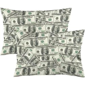 Money Throw Queen Size Pillow Covers, 100 Dollar Bill, USA, Standard Size with Zipper, Set of 2, 20"x30" (Color 14)