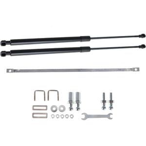 WFLNHB Rear Trunk Hydraulic Rod Strut Spring Gas Shock Replacement for Accord 10th Gen 2018 2019