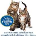 KittyGoHere Senior Cat Litter Box 1 Pack, Large Misty Gray Low Entrance Kitty Litter Box, Sized for Cats Comfort, Perfect for Senior and Arthritic Cats, Made in USA