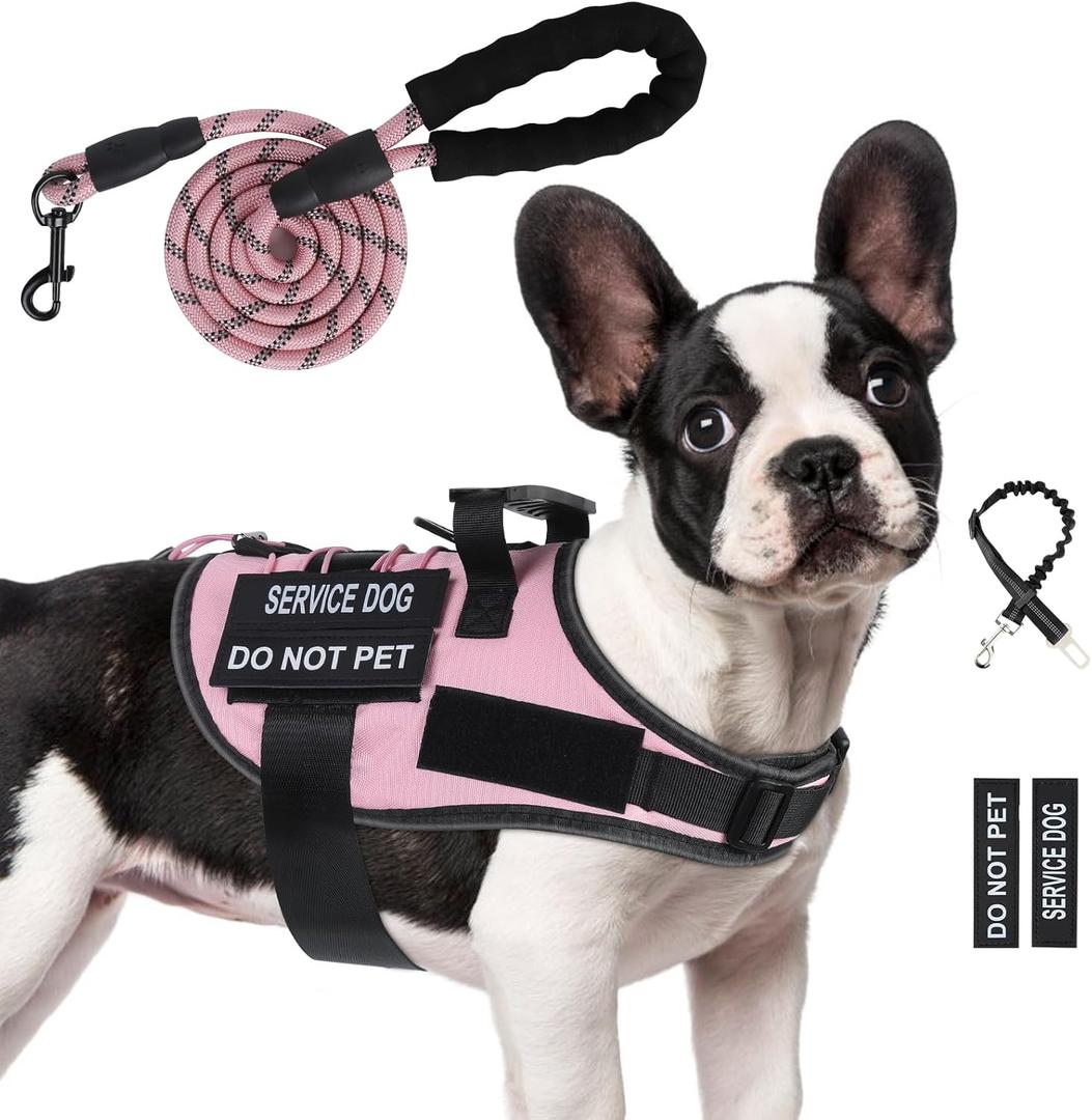 No Pull Dog Harness Small Medium Sized Dog, Service Dog Harness and Leash Set with 4 Patches, Adjustable Easy Walk Dogs Harnesses with Handle, Dogs Vest Harnesses French Bulldog, Chihuahua(Pink, S)