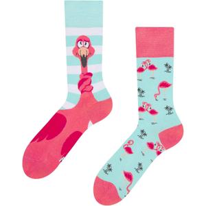4 x Dedoles Unisex Socks for Women, Men and Kids Cotton Funny Designs Soccer Bicycle Horses Plants Gift Left Right Different (5-8 women / 3.5-6 men, Entangled Flamingo)