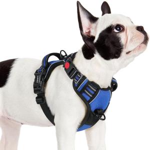 rabbitgoo Dog Harness Small Sized, No Pull Pet Harness with 3 Buckles, Adjustable Soft Padded Vest with Control Handle, Walking Reflective Pet Vest for Small Dogs, Blue, Small