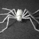 4 Ft Halloween Decorations Outdoor Giant White Spider Prop Terrifying Giant Spider Realistic Large Haunted House Prop Furry Spider Decorations