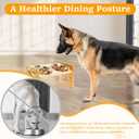 Elevated Dog Bowls - Flexible Adjustable Dog Bowl Stand for Small Medium Dogs & Cats | 6'' Diameter Double Bowls & Non-Slip Foot Pads & Removable Stand