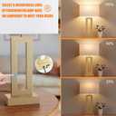 Seealle Nightstand Table Lamps for Bedrooms Set of 2 - Touch Bedside Lamp with USB C+A, 3 Way Dimmable Living Room Lamps for End Tables Set of 2(White&Gold)
