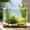 3.5 Gallon Clear Glass Fish Tank, Aquarium Fish Bowl Ultra Clear Rimless Design for Betta Goldfish Snails Shrimp Aquatic Planting (Transparent)