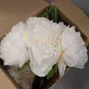 XunYee 85 Pcs White Artificial Peonies Faux Silk Flowers Bulk for Vase Spring Vintage Faux Peony Bouquet Florals Stems Arrangements for Wedding Table Centerpiece Farmhouse Birthday Vase Filler