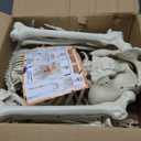 NEROSUN 5.4FT Halloween Skeletons Decoration, Posable Life Full Size Skeleton with Dog Skeleton, Realistic Plastic Human Bones for Halloween Props Haunted House Graveyard Party Decor