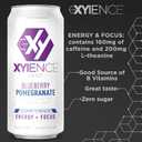 Xyience Blueberry Pomegranate Energy Drink, 16 fl oz can (Pack of 12)