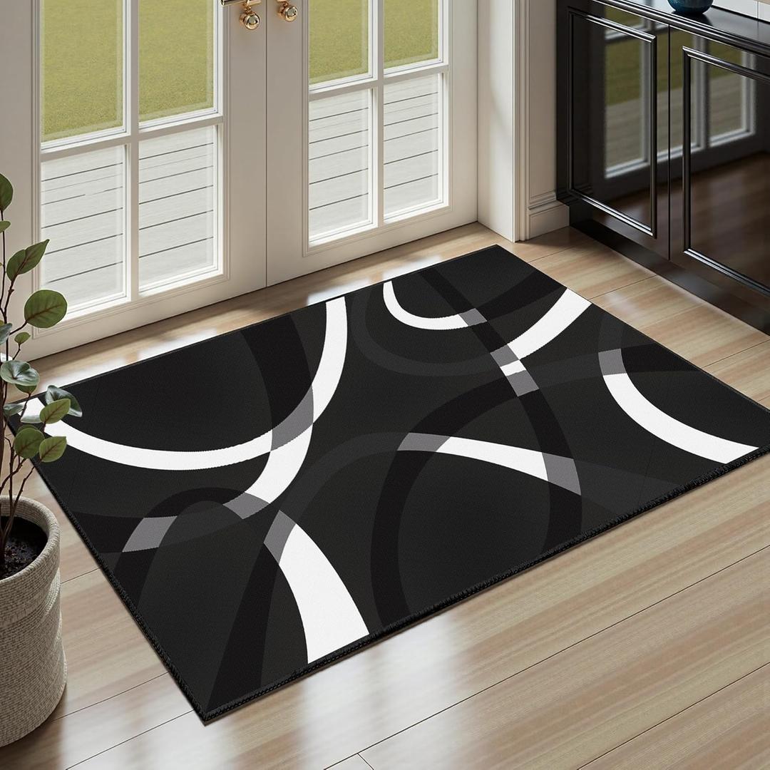 Classical Modern Black and White Stripe Pattern Area Rug for Living Room 2x3 Outdoor Rug Non Slip&Non-Shedding Low Pile Indoor Large Carpets for Bedroom, Dining Room, Home Office, Bathroom